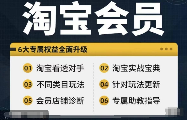 淘宝会员【淘宝所有课程，全面分析对手】，初级到高手全系实战宝典-缘艺创业网