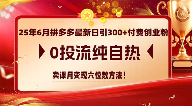 25年6月拼多多最新日引300+付费创业粉，0投流纯自热 卖课月变现六位数方法-缘艺创业网