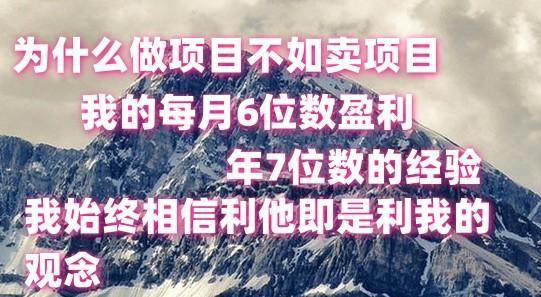 做项目不如卖项目，每月6位数盈利，年7位数经验-缘艺创业网