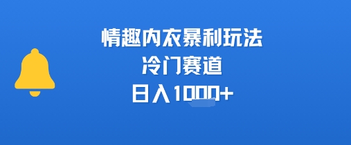 情趣内衣暴利玩法，冷门赛道，日入1k+-缘艺创业网
