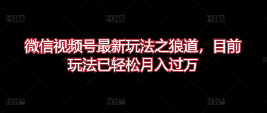 微信视频号最新玩法之狼道，目前玩法已轻松月入过万【揭秘】-缘艺创业网