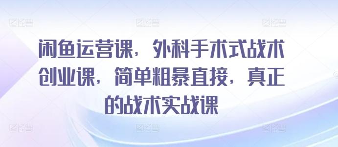 闲鱼运营课，外科手术式战术创业课，简单粗暴直接，真正的战术实战课-缘艺创业网