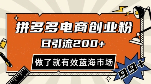 拼多多引流电商创业粉，日引200+，可矩阵放大，做了就有效【揭秘】-缘艺创业网