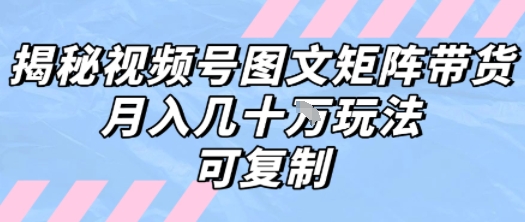 解密视频号图文矩阵带货，月入几个W的打法，可复制-缘艺创业网