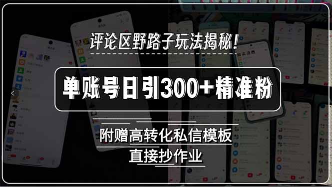 评论区野路子玩法揭秘！单账号日引300+精准粉，附赠高转化私信模板，直…-缘艺创业网