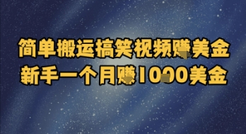 简单搬运搞笑视频挣美金，新手一个月入1k美金-缘艺创业网